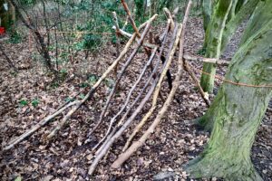 Building a den using long branches.